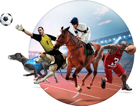 in-house virtual sports|Virtual Sports Market Players .